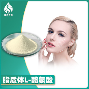 Liposoma de L-tirosina 80%, N-acetil-L-tirosina encapsulada en liposomas, polvo de acetil-tirosina - Product Image 2