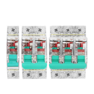 Tengen TGBT Transparent <b>Mini</b> Circuit Breaker 32A 1P 2P 3P Home Construction Use - Product Image 4