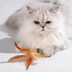 Rarewe Fournitures pour animaux de compagnie : Jouet balle à herbe à chat et plumes, Jouet anti-ennui pour chat, Jouet à mâcher autonettoyant pour chat - Prix usine - Product Image 2