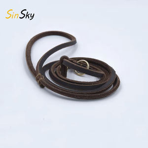 SinSky-Collares de diseño personalizado para mascotas, correas ligeras, finas pero resistentes de cuero, cuerda de plomo, correas suaves y delgadas para perros - Product Image 1