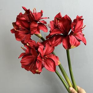 Fleurs artificielles Clivia <span class=keywords><strong>Amaryllis</strong></span> à tige unique pour la décoration <span class=keywords><strong>de</strong></span> la maison Accessoires <span class=keywords><strong>de</strong></span> remise des diplômes <span class=keywords><strong>de</strong></span> mariage Fête des mères Pâques Halloween - Product Image 1