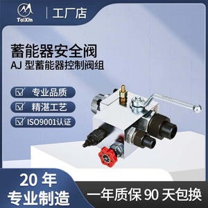 Groupe de vannes de commande d'accumulateurs TaiXin type AJ, filetage 1/2 po, pour liquide huileux à température normale - Product Image 4