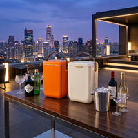 Glacière de luxe compacte 10L pour boissons, idéale pour le camping, le plein air, le vin, en plastique, métal ou acier