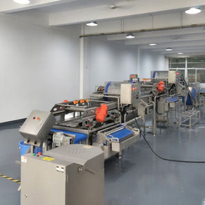 Línea de Procesamiento Rápido Totalmente Automática para Clasificación, Corte, Lavado y Secado de Frutas y Verduras - Product Image 4