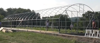 Serres monocoupelles personnalisées en polytunnel pour l'agriculture, solution clé en main, directement de l'usine chinoise