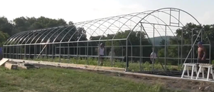 Fuers — serre agricole à bout unique en polyester avec Tunnel, noir, blanc, fermeture directe - Product Image 2