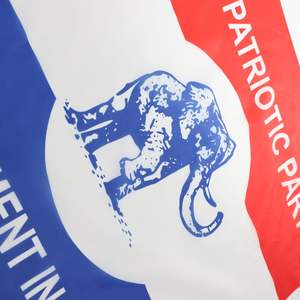 Gahumi Factory Entrega rápida Camisetas personalizadas Poliéster Campaña electoral Camiseta con patrón de impresión para Ghana - Product Image 2