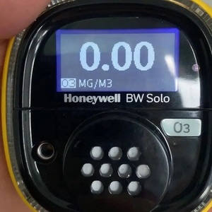 เครื่องตรวจจับก๊าซเดี่ยวแบบใช้งานได้ Bw Bws1-g-y พร้อมการรับประกัน 1 ปี - Product Image 2
