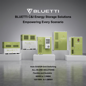 Inversores de Formación de Red para Almacenamiento en la Industria Comercial e Industrial para la Participación en Plantas de Energía Virtuales (VPP) Modulares de 8 Unidades en Paralelo - Product Image 1
