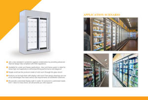 Congélateur commercial avec <span class=keywords><strong>porte</strong></span> vitrée, étagère de présentation, <span class=keywords><strong>porte</strong></span> vitrée pour chambres froides / réfrigérateur de supermarché - Product Image 3