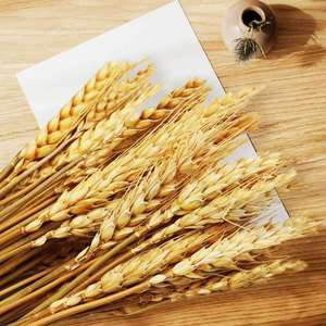 Cesti di Fiori Artificiali Decorativi Creativi con Spighe di <span class=keywords><strong>Orzo</strong></span> Essiccate Fatte a Mano, Ecologici e Moderni, Bouquet Dorati all'Ingrosso - Product Image 6