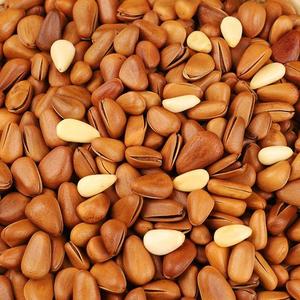 Nuovo Sgusciatore Automatico Commerciale per Noci, Noci Pecan, Mandorle e Pinoli - Sgusciatrice Professionale per Noci e Pinoli - Product Image 5