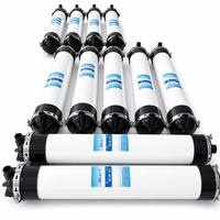 Membrane d'ultrafiltration UF en PVC Bilan de 10 pouces, colonne de fibres creuses de 250 mm pour le traitement de l'eau industrielle, 50 m²