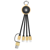 Chargeur porte-clés en bambou neutre en carbone avec logo LED lumineux Câble de charge rapide 3-en-1 Boîte-cadeau Tech d'entreprise