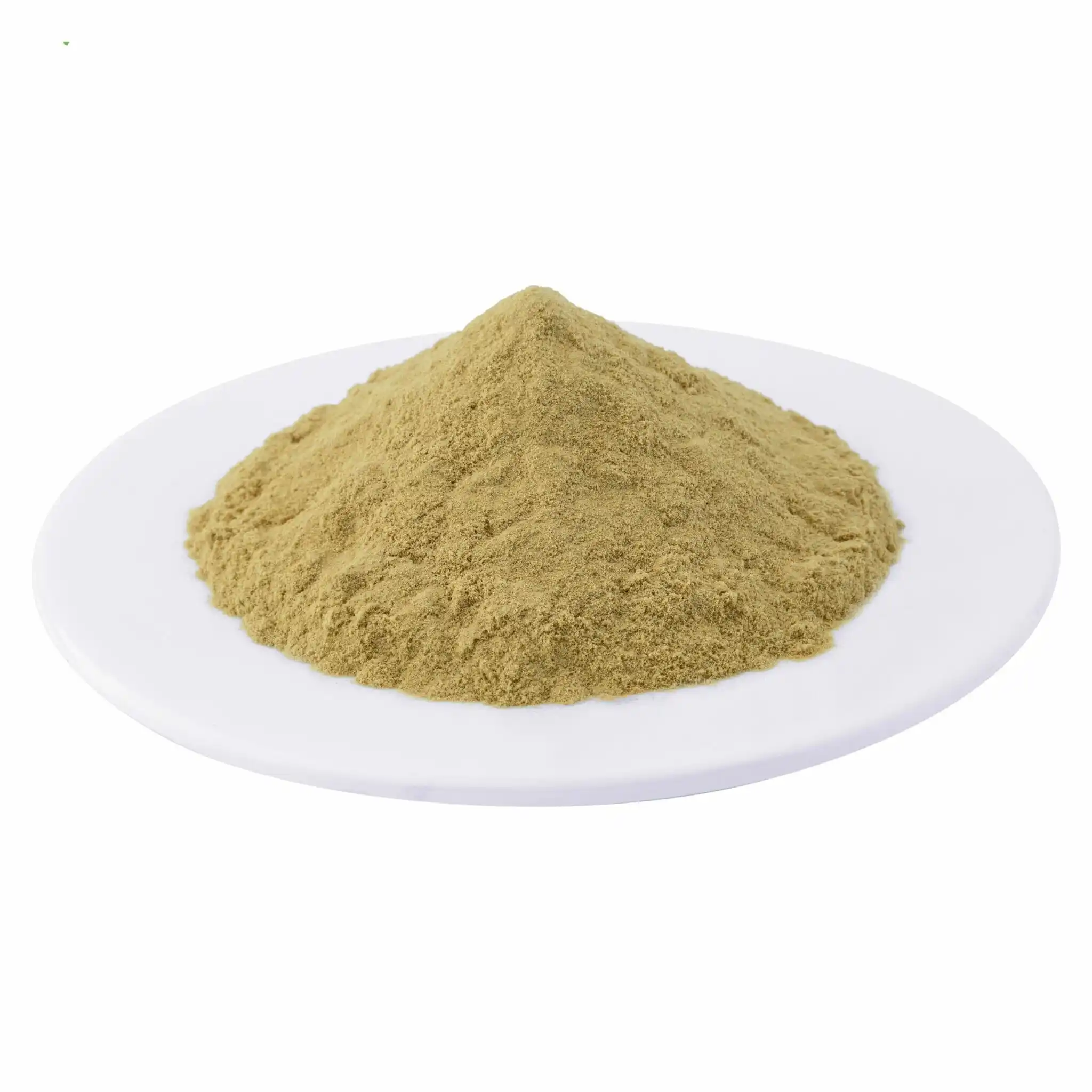 Productos enzimáticos de calidad alimentaria suplemento al por mayor enzima proteasa en polvo