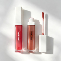 Logo personnalisé, marque privée de luxe, vente en gros, gloss à lèvres vegan imperméable, crème hydratante, longue tenue, écran solaire, rouge à lèvres mat