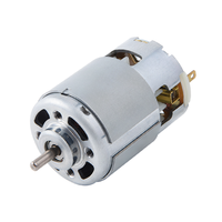 Moteur à courant continu à aimant permanent RS-887 6-36V 200-400W Haute vitesse 3500-25000 tr/min avec balais de charbon IP55 pour affûteuse de chaînes et souffleur de feuilles