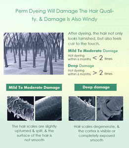 Fournisseur en vrac de produits capillaires professionnels pour salon de coiffure avec soins capillaires multi-bénéfices après-shampoing - Product Image 3