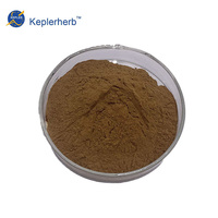 Extrait d'Isatis Indigotica 10:1 Feuille d'Isatidis TLC Stimulant Immunitaire Naturel Antiviral Soutien Respiratoire OEM