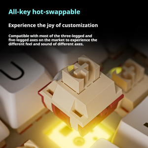EWEADN 67-Key RGB Backlit Computador Gaming Teclado Hot Swappable 2.4G Sem Fio USB Novo Mecânico Hot Swappable Junta - Product Image 2