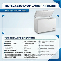 Réfrigérateur solaire 250L en stock, mini-réfrigérateur portable double alimentation DC 12V 24V pour camping-car, caravane, fourgonnette, maison hors réseau
