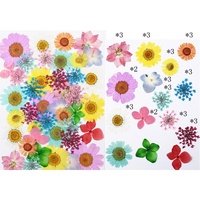 Pack de fleurs séchées assorties 40 pièces, couleurs variées pour la résine, la bijouterie, les cadres, l'art, les fournitures artisanales botaniques séchées