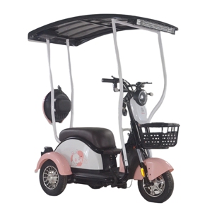 Tricycle électrique solaire avec auvent solaire, scooter à 3 roues pour personnes âgées, protection contre la pluie et le vent - Product Image 1