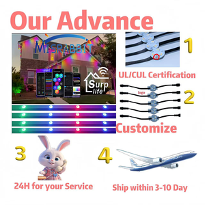 Ul chứng nhận ucs2904 ngoài trời vĩnh viễn đèn <span class=keywords><strong>LED</strong></span> 200 ft <span class=keywords><strong>12V</strong></span> Omni RGB đèn cho mái hiên - Product Image 4