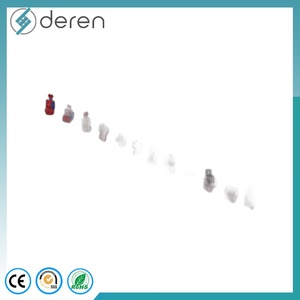 Modello del Processo di Sviluppo del Cuore Umano, Modello Didattico della Crescita Cardiaca Embrionale - Product Image 3