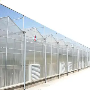 Long Life Multi Span Agricultural Venlo Greenhouse Polycarbonate Farming PC Sheet Greenhouses for Vegetables /Tomato/Flower