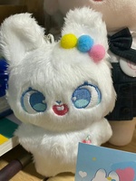 Conception personnalisée 10cm kawaii peluche Idol poupées jouets coréens en peluche poupées