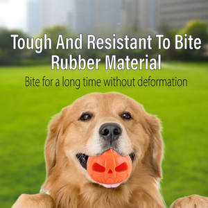 Yeni Pet çiğnemek oyuncak degrade renk kabartmalı şekil kabak Bite dayanıklı kauçuk diş temizleme taşlama köpekler çiğnemek oyuncak - Product Image 3