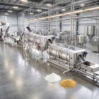 Productielijn voor aardappelchips met kleine capaciteit, 300 kg/uur, automatisch, voor startende bedrijven, premium kwaliteit poedermachine