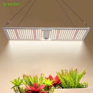 Greeden แผง LM301H LM301B LED 200W 240W แบบเต็มสเปกตรัมแผงไฟปลูกพืช