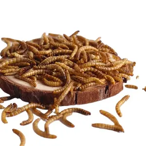 نسبة عالية من البروتين الجاف Mealworms ل غوبي الأسماك الغذاء