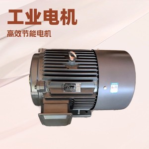 มอเตอร์สามเฟสแบบอะซิงโครนัส YE2 YE4 Y2 Y YE3-180L-6-15KW6 โพล 6 ขั้ว - Product Image 3