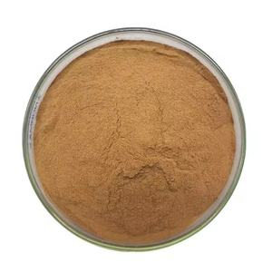 Extracto Puro de <span class=keywords><strong>Hongo</strong></span> <span class=keywords><strong>Boletus</strong></span> Edulis OEM a Granel, Polvo de Polisacáridos 40% Extraído por Solvente, 80 Mesh, para Alimentos Saludables, Tambor de 25kg - Product Image 6