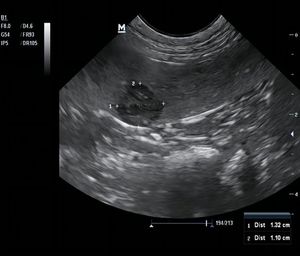 EC <span class=keywords><strong>Ultrasonido</strong></span> de alta calidad M6VET Escáner de embarazo animal Máquina de <span class=keywords><strong>ultrasonido</strong></span> veterinario portátil M5Vet - Product Image 2