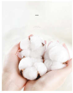 H5398 Men's Pullover Hoodies Manufacturer Heavyweight Spandex/Polyester Yarn Dyed Cartoon Stand Collar Autumn <b>Thick</b> <b>Fleece</b> - Product Image 5