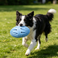 Jouet à mâcher en TPR pour chien, ballon de rugby durable pour nettoyer les dents des chiots, jouet interactif pour animaux de compagnie pour l'entraînement en extérieur