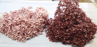 Fleurs d'hortensia Anna stabilisées, boîte cadeau élégante, hortensia véritable éternel, décoration intérieure, longue durée, DIY, Fête des Mères, Remise de diplôme