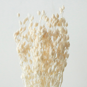 Yongsheng Flower - Ramo de Flores Importadas de Hierba Voladora, Venta al por Mayor de Fábrica, Decoración para el Hogar - Product Image 1