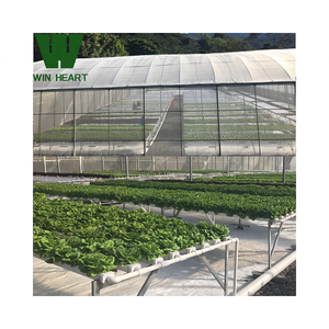 <span class=keywords><strong>Serre</strong></span> <span class=keywords><strong>agricole</strong></span> à <span class=keywords><strong>arceaux</strong></span> à travées multiples 20-100m <span class=keywords><strong>Serre</strong></span> commerciale à film plastique - Product Image 3