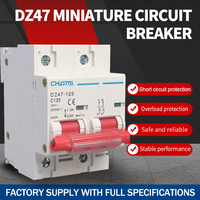Disjoncteur modulaire DZ47-125 2P 6KA Courbe C, capacité de coupure 230/400V AC, montage sur rail DIN, OEM LONGTAI, certifié CE