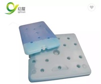 Sac isotherme moderne à motif rayé, en plastique sûr, avec plaque de gel eutectique pour le transport alimentaire