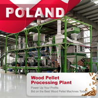 Usine de granulés de biomasse à base de copeaux de bois personnalisés RICHI 4t/h pour projets d'énergie renouvelable en Pologne