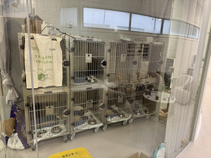 Proveedores de jaulas para mascotas de acero inoxidable, jaula para mascotas de capa, casa, Veterinario de animales y bancos de jaulas para perros y veterinarios - Product Image 4