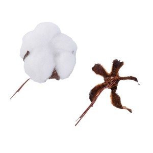 Tiges de coton artificielles, tons naturels purs, fleurs moelleuses, décoration minimaliste <span class=keywords><strong>pour</strong></span> la maison, arrangement de table de mariage, fournitures de bricolage - Product Image 6