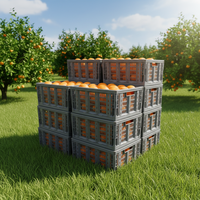 Caisse en plastique pliable en gros pour fruits et légumes, empilable et durable, bac de rangement écologique pour l'agriculture et le marché