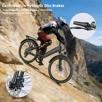 Bicicleta Eléctrica EP26ST OEM/OEM de 48V, Motor de Cubo Trasero de 250W, Bicicleta Eléctrica de Montaña, Nieve y Ciudad, 26 Pulgadas, Bicicleta Eléctrica Gruesa, Económica